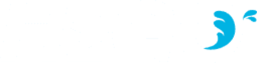 H2GO Mobile Wash